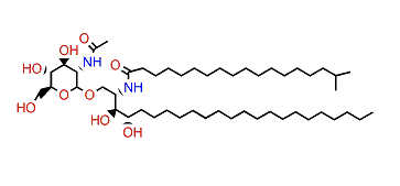 Halicylindroside A3